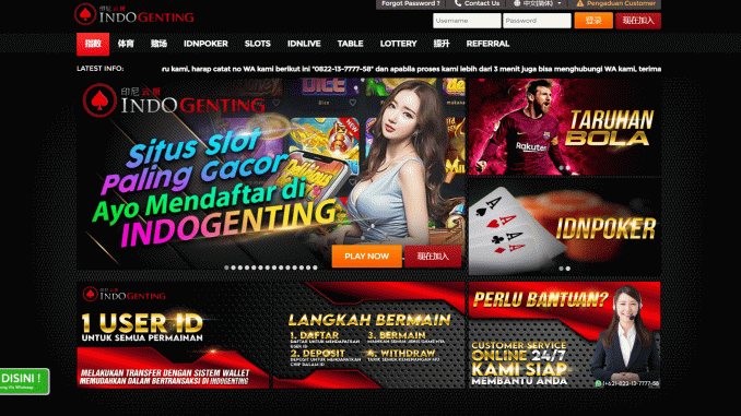 INDOGENTING INDOGENTING